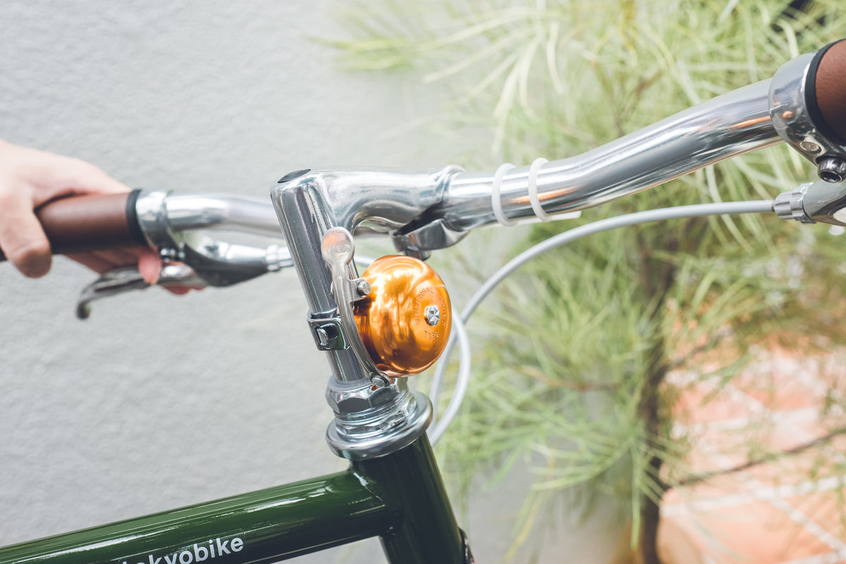 vivadaraプロフ必読 ブラウンS SANWA