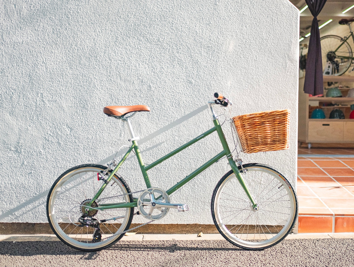 DSCF4067_1200x1200.jpg?v=