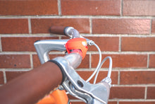 画像をギャラリービューアに読み込む, knog FROG V3